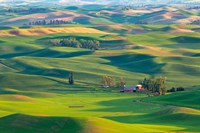 Farmland Viewed From Steptoe Butte, Washington State Fine Art Print