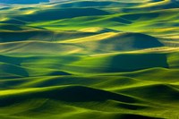 Country Landscape Viewed From Steptoe Butte Fine Art Print