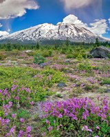 Mount Saint Helens Landscape, Washington State Fine Art Print