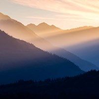 Sunset In The Olympic National Forest Fine Art Print