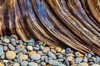 Beach Rocks And Driftwood Fine Art Print
