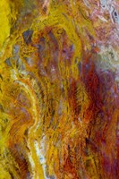 Flame Agate Fine Art Print