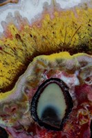 Quetzalcoatl Agate Fine Art Print