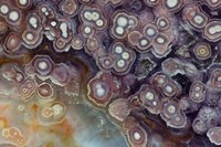Luna Agate Fine Art Print
