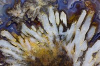 Sagenite Agate Fine Art Print