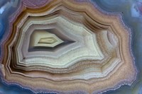 Banded Agate, Sammamish, Washington Fine Art Print