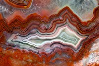 Mexican Crazy Lace Agate II Fine Art Print
