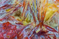 Warm, Firey Agate Fine Art Print