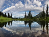 Mt Rainier And Clouds Reflecting In Upper Tipsoo Lake Fine Art Print
