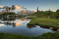 Mt Baker Reflecting In A Tarn On Park Butte Fine Art Print