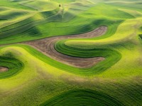 Aerial Of The Palouse Region, Washington Fine Art Print