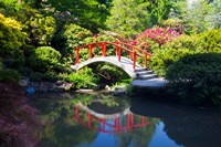 Moon Bridge In The Kubota Gardensm Washington State Fine Art Print