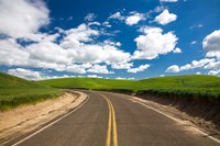 Backroad Through The Green Fields Of Washington Fine Art Print