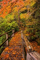 Autumn Maple Leaves On A Bridge Fine Art Print