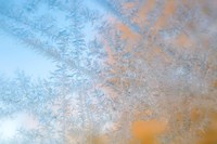 Frost Patterns Formed On Glass Fine Art Print