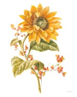 Floursack Autumn I on White Framed Print