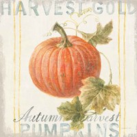 Floursack Autumn VIII Fine Art Print