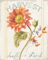 Floursack Autumn II Fine Art Print