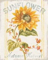 Floursack Autumn I Framed Print