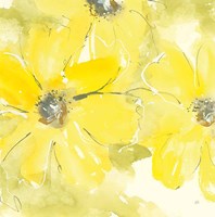 Sunshine Cosmos II Framed Print