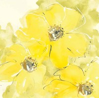 Sunshine Cosmos I Framed Print