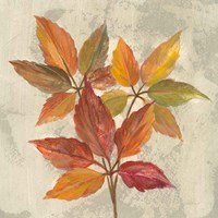 November Leaves I Fine Art Print