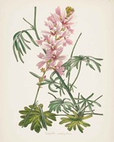 Antique Botanical LVII Cream Fine Art Print