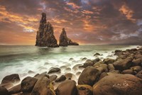 Standing Strong Fine Art Print