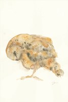 Frosty Morning Fine Art Print