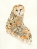 Barn Owl Fine Art Print