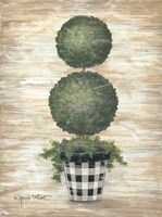 Gingham Topiary Spheres Fine Art Print