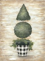Gingham Topiary Cone Fine Art Print