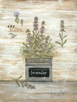 Lavender Botanical Fine Art Print
