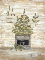 Sage Botanical Framed Print