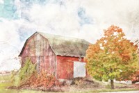 Autumn Maple by the Barn Fine Art Print