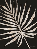 Palm Frond Wood Grain IV Framed Print