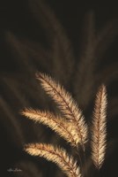 Golden Grass I Fine Art Print