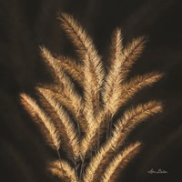 Golden Grass II Fine Art Print