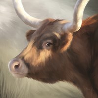 Phoenix Longhorn Fine Art Print