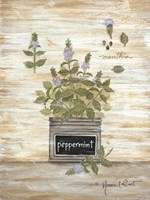 Peppermint Botanical Framed Print