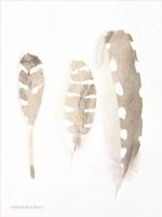 Neutral Feathers Study Fine Art Print