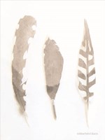 Soft Feathers Study Fine Art Print