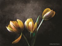 Contemporary Floral Tulips Fine Art Print