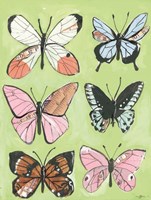 Butterfly Beauty Fine Art Print