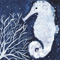 Midnight Seahorse Fine Art Print