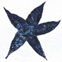 Midnight Starfish Fine Art Print