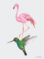The Hummingbird and the Flamingo Fine Art Print