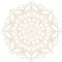 Contemporary Lace Neutral IV Framed Print