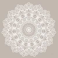 Contemporary Lace Neutral VI Framed Print