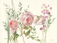 Flourish II Fine Art Print